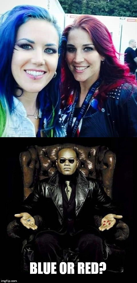 Metal Matrix | BLUE OR RED? | image tagged in matrix morpheus,red and blue,arch enemy,delain | made w/ Imgflip meme maker
