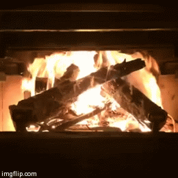 Good Morning! | image tagged in gifs | made w/ Imgflip video-to-gif maker