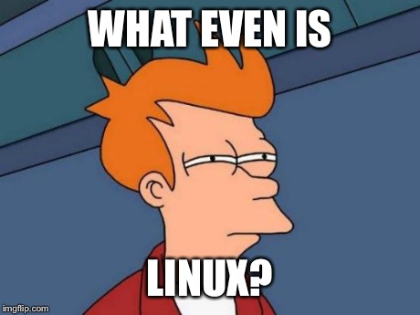 Futurama Fry Meme | WHAT EVEN IS LINUX? | image tagged in memes,futurama fry | made w/ Imgflip meme maker