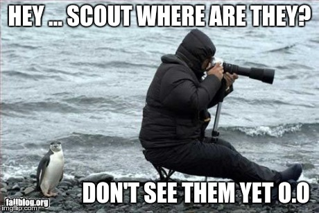 HEY ... SCOUT WHERE ARE THEY? DON'T SEE THEM YET O.O | made w/ Imgflip meme maker