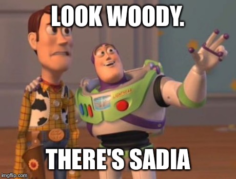 X, X Everywhere | LOOK WOODY. THERE'S SADIA | image tagged in memes,x x everywhere | made w/ Imgflip meme maker