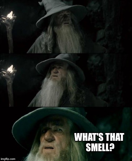 Confused Gandalf | WHAT'S THAT SMELL? | image tagged in memes,confused gandalf | made w/ Imgflip meme maker