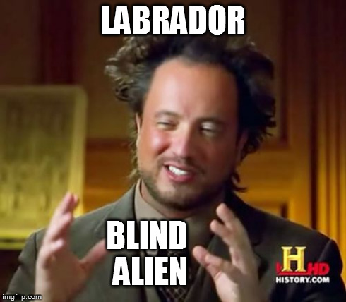 Ancient Aliens Meme | LABRADOR BLIND ALIEN | image tagged in memes,ancient aliens | made w/ Imgflip meme maker