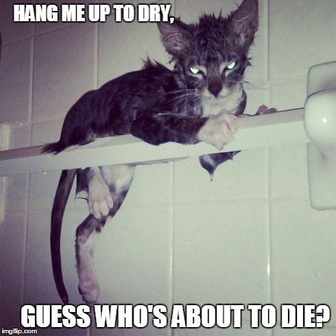 Air Dry | HANG ME UP TO DRY, GUESS WHO'S ABOUT TO DIE? | image tagged in cats,grumpy cat | made w/ Imgflip meme maker