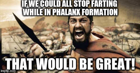 That would be great! | IF WE COULD ALL STOP FARTING WHILE IN PHALANX FORMATION THAT WOULD BE GREAT! | image tagged in memes,sparta leonidas | made w/ Imgflip meme maker