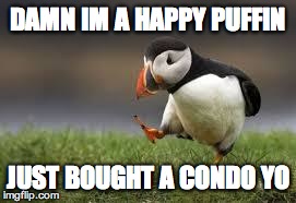 DAMN IM A HAPPY PUFFIN JUST BOUGHT A CONDO YO | image tagged in puffin | made w/ Imgflip meme maker