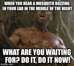 Arnie | WHEN YOU HEAR A MOSQUITO BUZZING IN YOUR EAR IN THE MIDDLE OF THE NIGHT WHAT ARE YOU WAITING FOR? DO IT, DO IT NOW! | image tagged in arnie | made w/ Imgflip meme maker