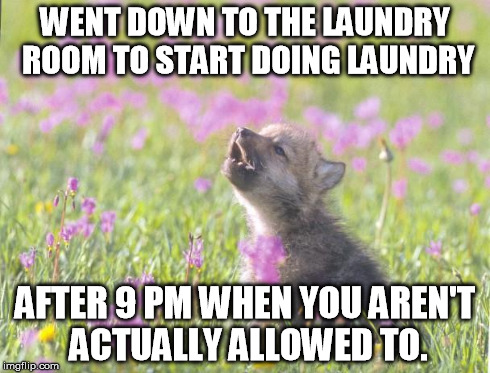 Baby Insanity Wolf Meme | WENT DOWN TO THE LAUNDRY ROOM TO START DOING LAUNDRY AFTER 9 PM WHEN YOU AREN'T ACTUALLY ALLOWED TO. | image tagged in memes,baby insanity wolf,AdviceAnimals | made w/ Imgflip meme maker