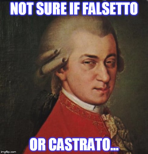 Mozart Not Sure | NOT SURE IF FALSETTO OR CASTRATO... | image tagged in memes,mozart not sure | made w/ Imgflip meme maker