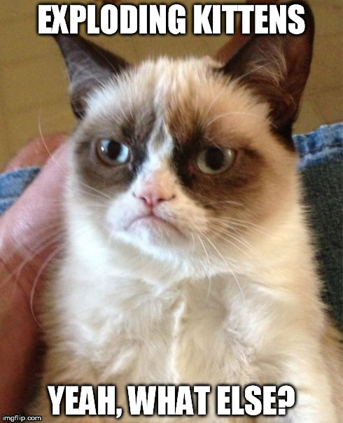 Grumpy Cat Meme | EXPLODING KITTENS YEAH, WHAT ELSE? | image tagged in memes,grumpy cat | made w/ Imgflip meme maker