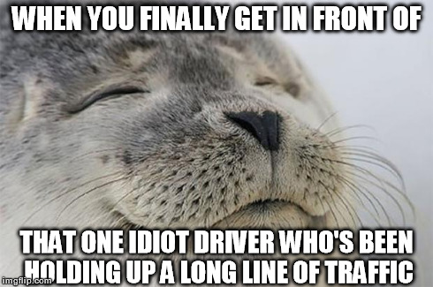 Few feelings top this.. | WHEN YOU FINALLY GET IN FRONT OF THAT ONE IDIOT DRIVER WHO'S BEEN HOLDING UP A LONG LINE OF TRAFFIC | image tagged in memes,satisfied seal,funny,true story | made w/ Imgflip meme maker