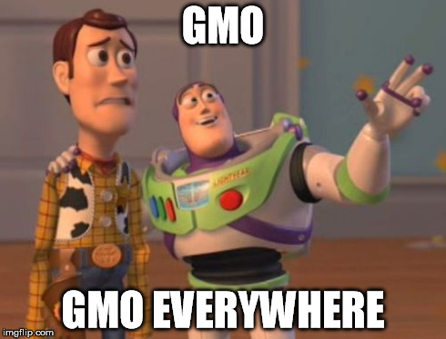 X, X Everywhere Meme | GMO GMO EVERYWHERE | image tagged in memes,x x everywhere | made w/ Imgflip meme maker