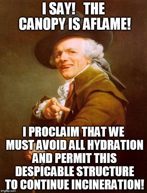 Joseph Ducreux | I SAY!   THE CANOPY IS AFLAME! I PROCLAIM THAT WE MUST AVOID ALL HYDRATION AND PERMIT THIS DESPICABLE STRUCTURE TO CONTINUE INCINERATION! | image tagged in memes,joseph ducreux | made w/ Imgflip meme maker