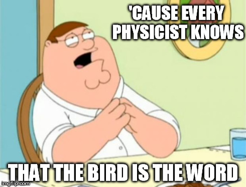 'CAUSE EVERY PHYSICIST KNOWS THAT THE BIRD IS THE WORD | made w/ Imgflip meme maker
