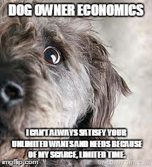 DOG OWNER ECONOMICS I CAN'T ALWAYS SATISFY YOUR UNLIMITED WANTS AND NEEDS BECAUSE OF MY SCARCE, LIMITED TIME. | made w/ Imgflip meme maker
