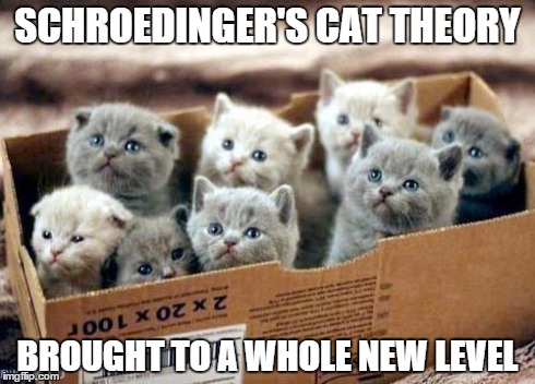 box of cats | SCHROEDINGER'S CAT THEORY BROUGHT TO A WHOLE NEW LEVEL | image tagged in box of cats | made w/ Imgflip meme maker