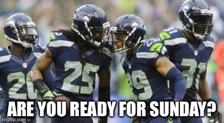 Seahawks | ARE YOU READY FOR SUNDAY? | image tagged in seahawks | made w/ Imgflip meme maker