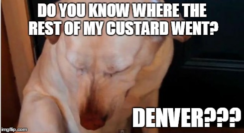 DO YOU KNOW WHERE THE REST OF MY CUSTARD WENT? DENVER??? | made w/ Imgflip meme maker