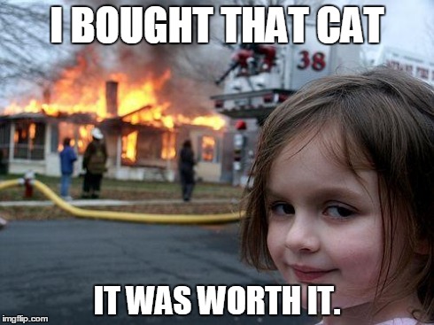 Disaster Girl Meme | I BOUGHT THAT CAT IT WAS WORTH IT. | image tagged in memes,disaster girl | made w/ Imgflip meme maker