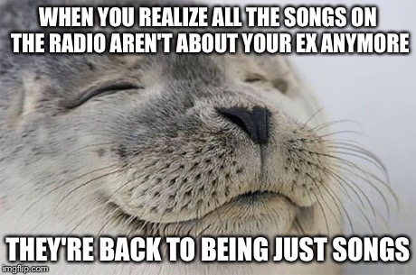 Satisfied Seal | WHEN YOU REALIZE ALL THE SONGS ON THE RADIO AREN'T ABOUT YOUR EX ANYMORE THEY'RE BACK TO BEING JUST SONGS | image tagged in memes,satisfied seal,AdviceAnimals | made w/ Imgflip meme maker