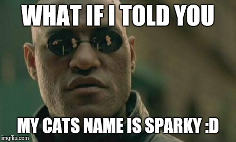 Matrix Morpheus Meme | WHAT IF I TOLD YOU MY CATS NAME IS SPARKY :D | image tagged in memes,matrix morpheus | made w/ Imgflip meme maker