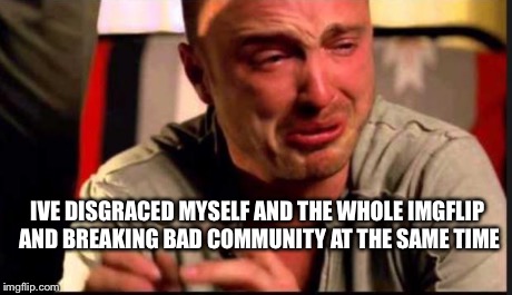 IVE DISGRACED MYSELF AND THE WHOLE IMGFLIP AND BREAKING BAD COMMUNITY AT THE SAME TIME | image tagged in jesse is a bitch | made w/ Imgflip meme maker