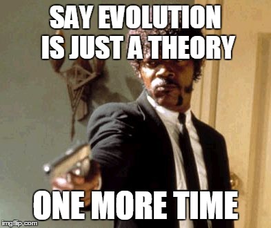 Say That Again I Dare You | SAY EVOLUTION IS JUST A THEORY ONE MORE TIME | image tagged in memes,say that again i dare you | made w/ Imgflip meme maker