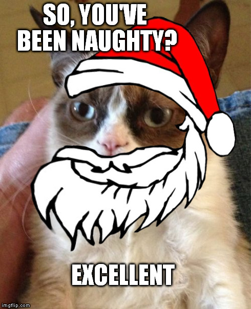 SO, YOU'VE BEEN NAUGHTY? EXCELLENT | image tagged in grumpy cat,festive,christmas,santa,excellent,naughty | made w/ Imgflip meme maker