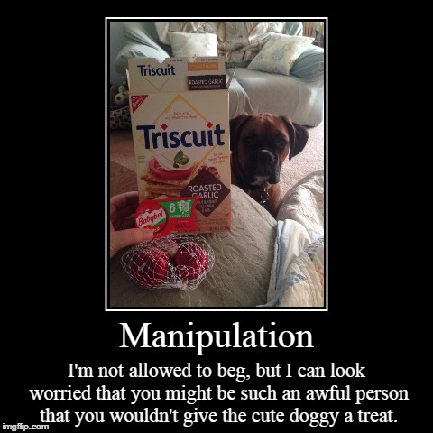Treat? | image tagged in funny,demotivationals,dog,manipulation | made w/ Imgflip demotivational maker