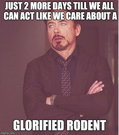 Face You Make Robert Downey Jr Meme | JUST 2 MORE DAYS TILL WE ALL CAN ACT LIKE WE CARE ABOUT A GLORIFIED RODENT | image tagged in memes,face you make robert downey jr | made w/ Imgflip meme maker