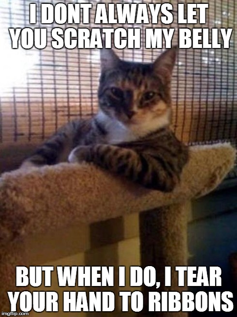 The Most Interesting Cat In The World | I DONT ALWAYS LET YOU SCRATCH MY BELLY BUT WHEN I DO, I TEAR YOUR HAND TO RIBBONS | image tagged in memes,the most interesting cat in the world | made w/ Imgflip meme maker