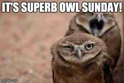 Annoyed Owl | IT'S SUPERB OWL SUNDAY! | image tagged in annoyed owl,superbowl | made w/ Imgflip meme maker