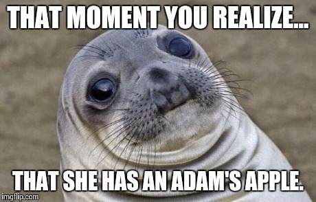 Awkward Moment Sealion Meme | THAT MOMENT YOU REALIZE... THAT SHE HAS AN ADAM'S APPLE. | image tagged in memes,awkward moment sealion | made w/ Imgflip meme maker