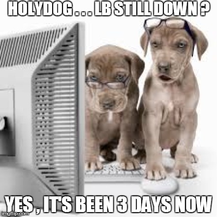 HOLYDOG . . . LB STILL DOWN ? YES , IT'S BEEN 3 DAYS NOW | made w/ Imgflip meme maker
