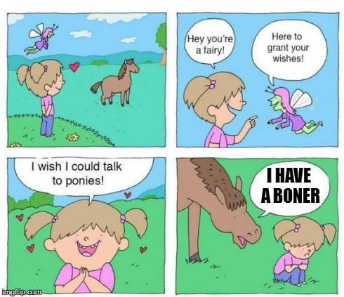 Talk to Ponies | I HAVE A BONER | image tagged in talk to ponies | made w/ Imgflip meme maker