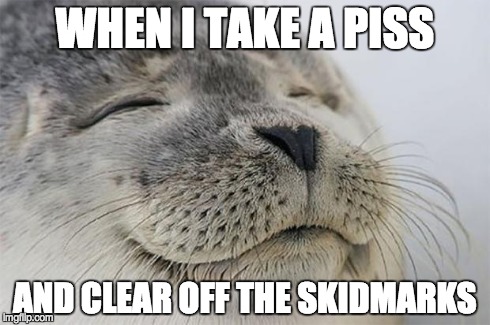 Satisfied Seal | WHEN I TAKE A PISS AND CLEAR OFF THE SKIDMARKS | image tagged in memes,satisfied seal,AdviceAnimals | made w/ Imgflip meme maker