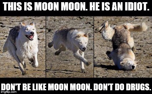 Moon Moon | THIS IS MOON MOON. HE IS AN IDIOT. DON'T BE LIKE MOON MOON. DON'T DO DRUGS. | image tagged in moon moon | made w/ Imgflip meme maker