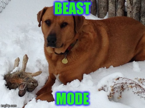 BEAST MODE | made w/ Imgflip meme maker