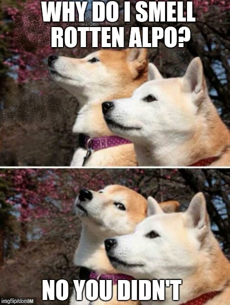 constipation dogs | WHY DO I SMELL ROTTEN ALPO? NO YOU DIDN'T | image tagged in constipation dogs | made w/ Imgflip meme maker