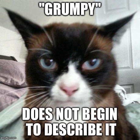 "GRUMPY" DOES NOT BEGIN TO DESCRIBE IT | image tagged in judge gonzo | made w/ Imgflip meme maker