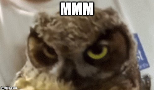 The 'mmm' owl.  | MMM | image tagged in mmm,sexyowl | made w/ Imgflip meme maker
