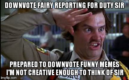 doofy | DOWNVOTE FAIRY REPORTING FOR DUTY SIR PREPARED TO DOWNVOTE FUNNY MEMES I'M NOT CREATIVE ENOUGH TO THINK OF SIR | image tagged in doofy | made w/ Imgflip meme maker