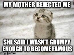 Sad Cat | MY MOTHER REJECTED ME SHE SAID I WASN'T GRUMPY ENOUGH TO BECOME FAMOUS | image tagged in memes,sad cat | made w/ Imgflip meme maker