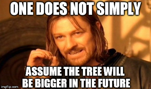 One Does Not Simply Meme | ONE DOES NOT SIMPLY ASSUME THE TREE WILL BE BIGGER IN THE FUTURE | image tagged in memes,one does not simply | made w/ Imgflip meme maker