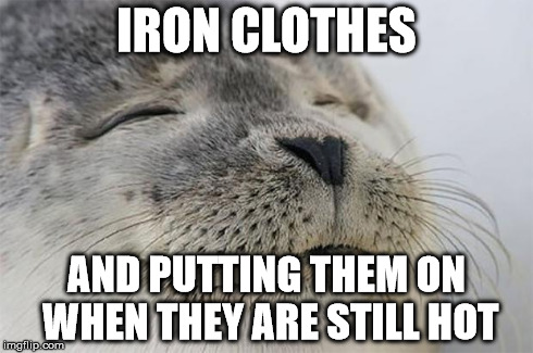Satisfied Seal | IRON CLOTHES AND PUTTING THEM ON WHEN THEY ARE STILL HOT | image tagged in memes,satisfied seal,AdviceAnimals | made w/ Imgflip meme maker