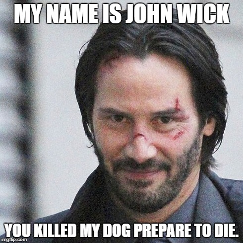 MY NAME IS JOHN WICK YOU KILLED MY DOG PREPARE TO DIE. | image tagged in memes | made w/ Imgflip meme maker