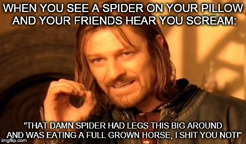 One Does Not Simply | WHEN YOU SEE A SPIDER ON YOUR PILLOW AND YOUR FRIENDS HEAR YOU SCREAM: "THAT DAMN SPIDER HAD LEGS THIS BIG AROUND AND WAS EATING A FULL GROW | image tagged in memes,one does not simply | made w/ Imgflip meme maker