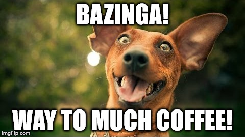 Wired | BAZINGA! WAY TO MUCH COFFEE! | image tagged in coffee,dog,bazinga | made w/ Imgflip meme maker