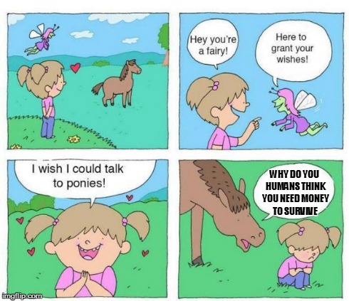 Talk to Ponies | WHY DO YOU HUMANS THINK YOU NEED MONEY TO SURVIVE | image tagged in talk to ponies | made w/ Imgflip meme maker