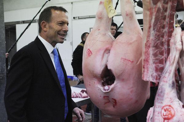 Abbott and the Pigs Arse Blank Meme Template